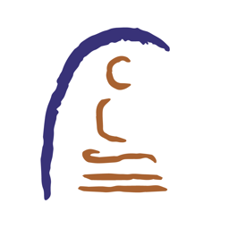 Access To Insight icon